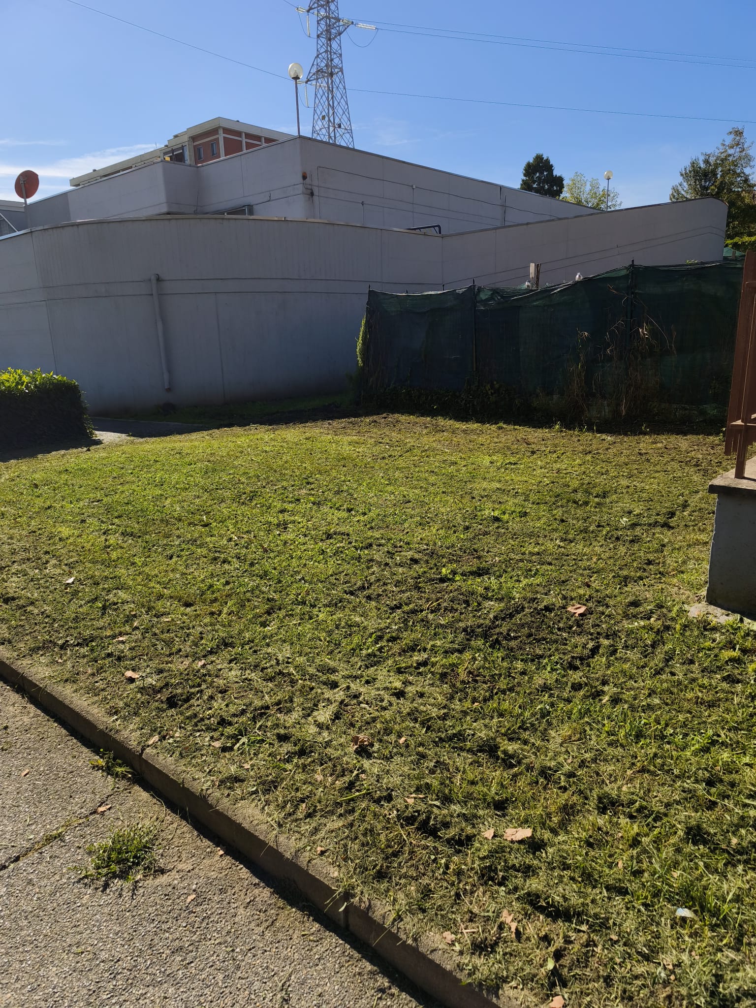 Lavoro Bruno Trasporti Torino