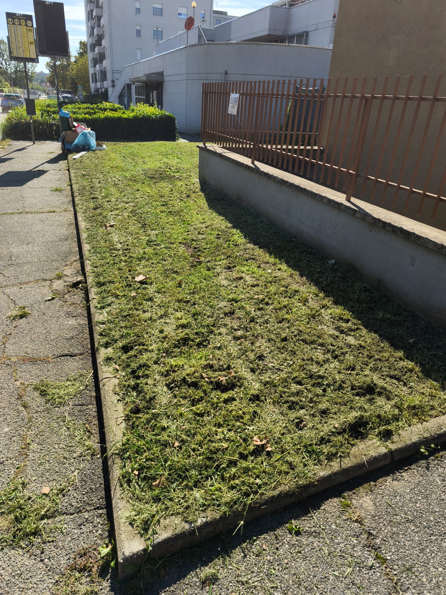 Lavoro Bruno Trasporti Torino